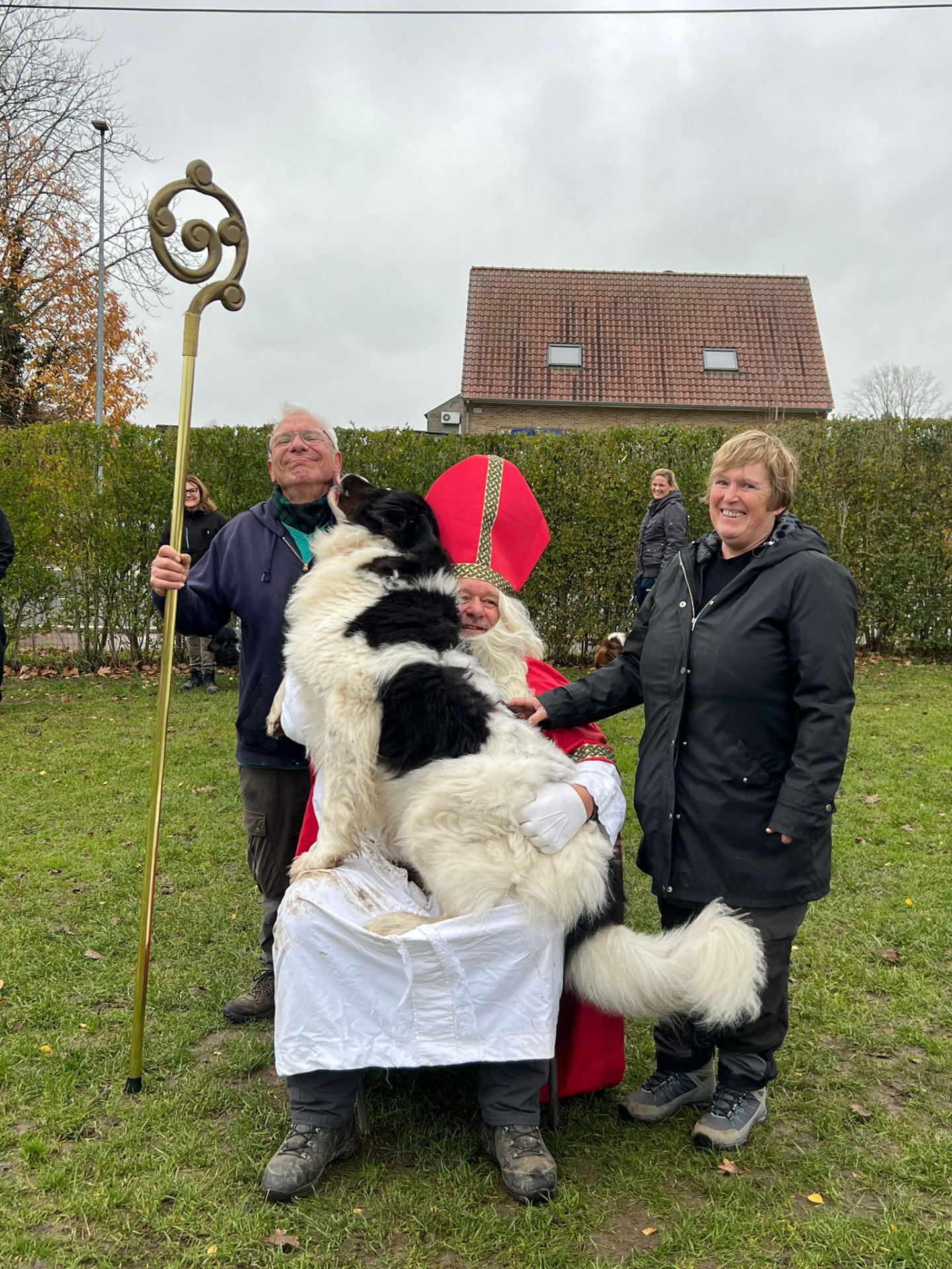 Sinterklaas knuffelt een grote zwart-witte hond