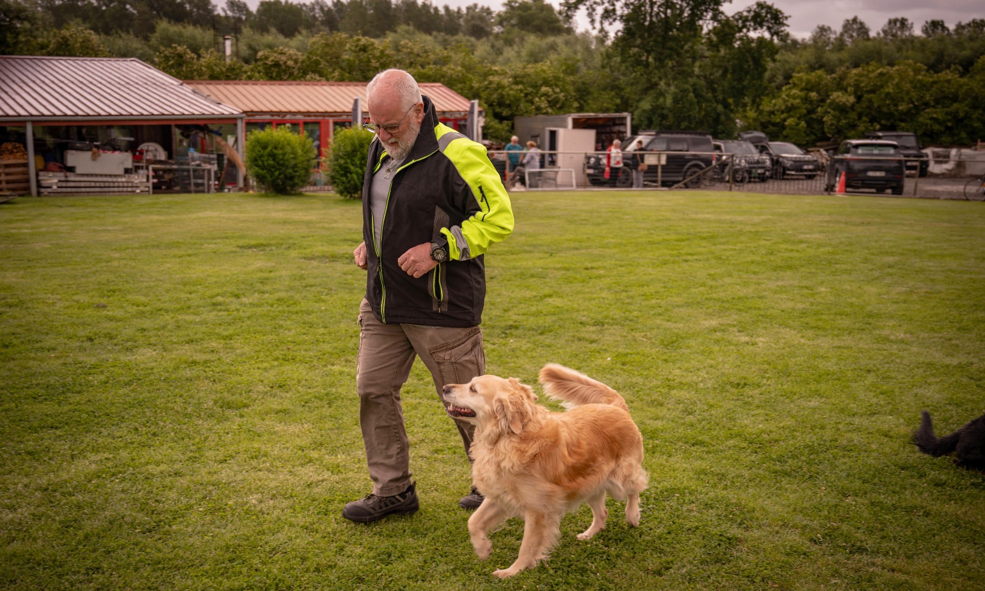 Baasje wandelt met golden retriever tijdens de gehoorzaamheidstraining