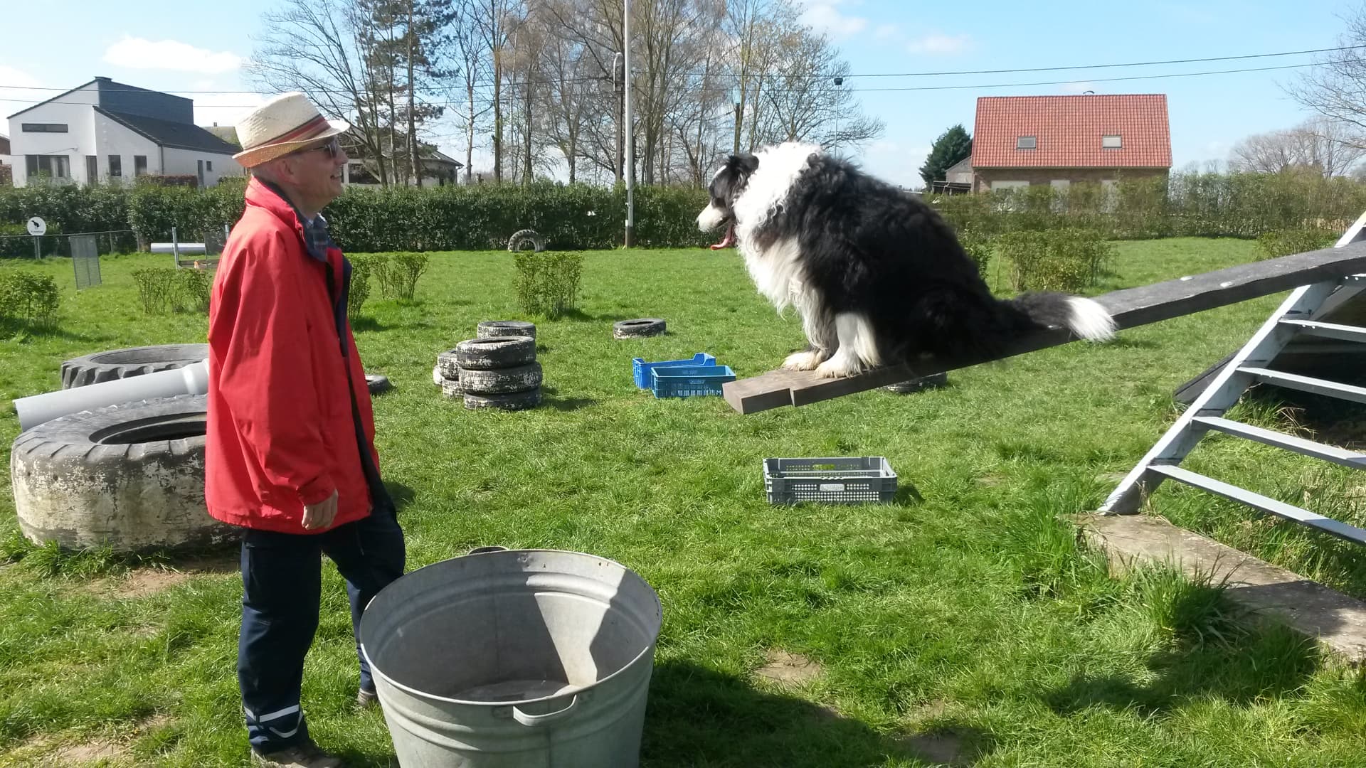 Border collie op de kantelbalk op het trainingsveld