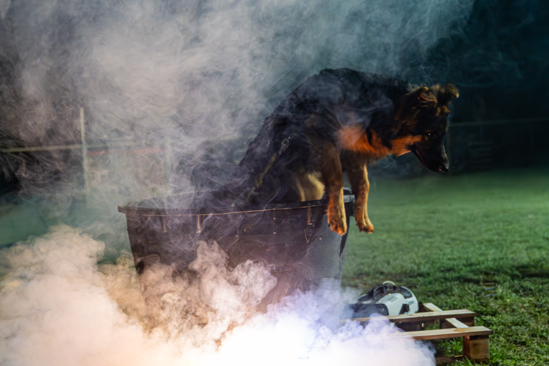 Hond springt uit een ton tussen de rook