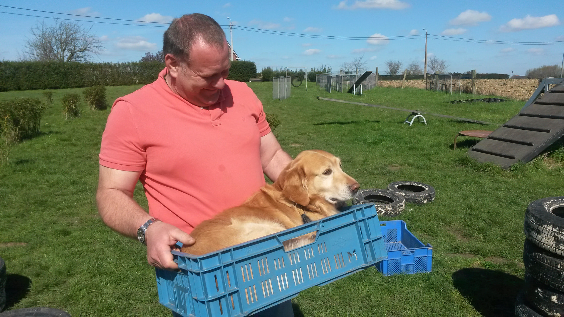 Golden retriever in een bak tijdens een oefening