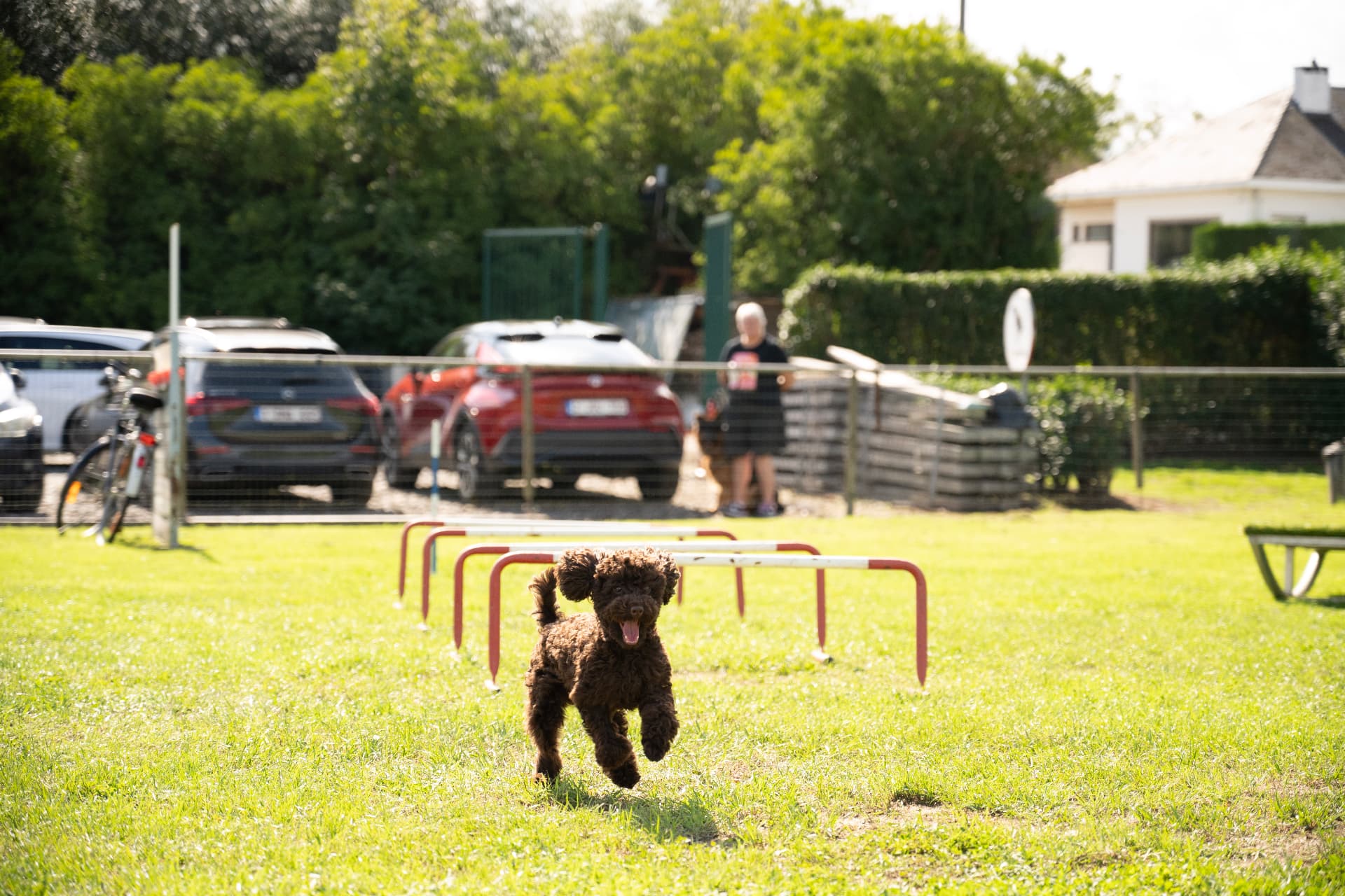 Vrolijke pup rent over het trainingsveld