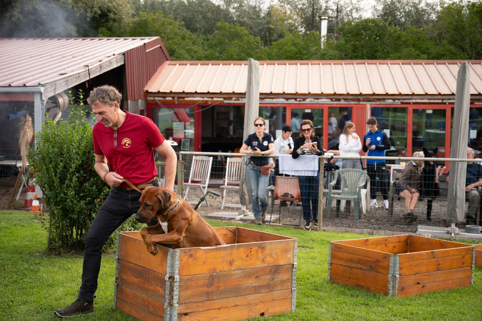 Hond springt uit een houten bak tijdens de training