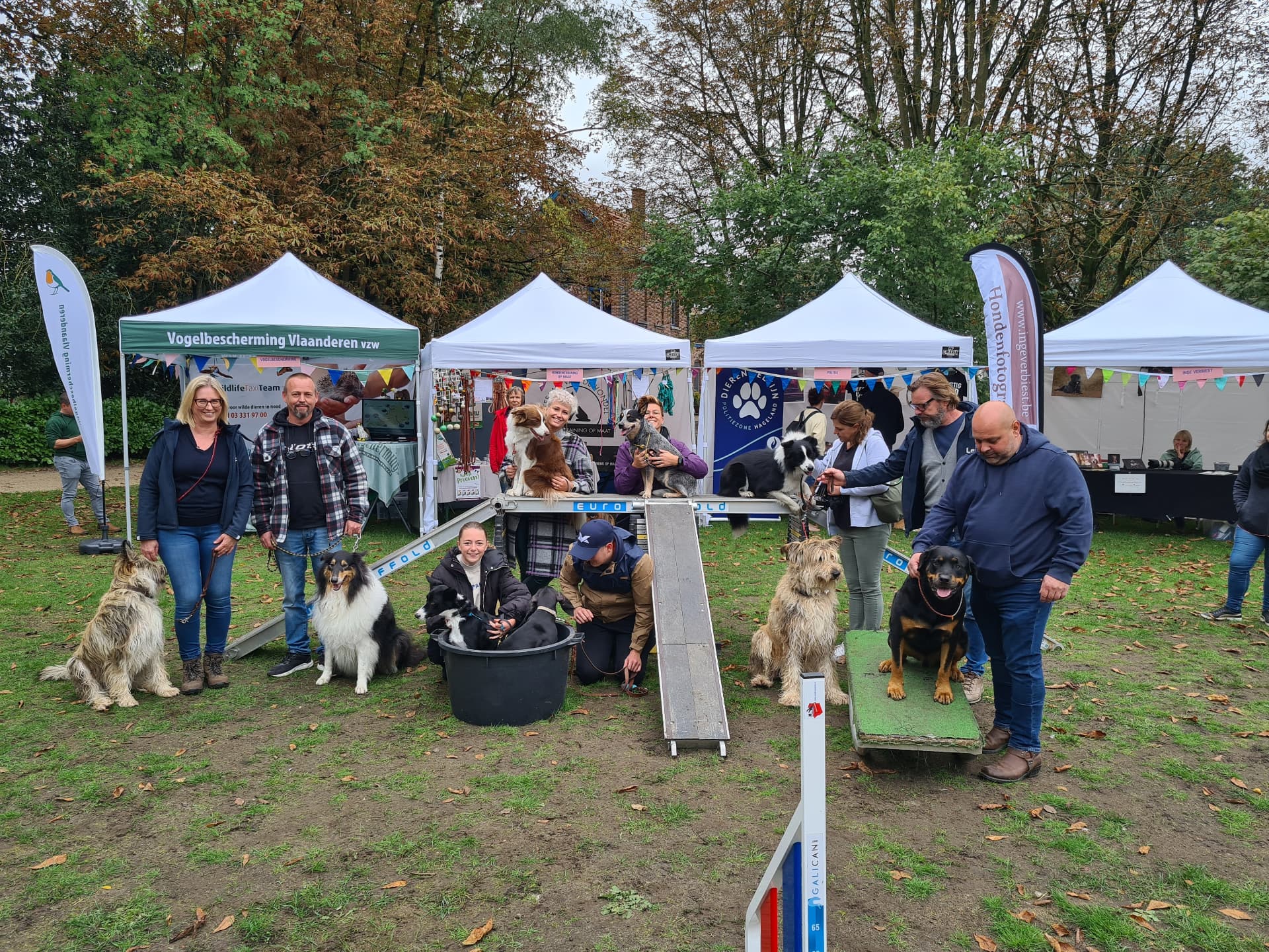 Demonstratie met leden en honden op een hondenevenement