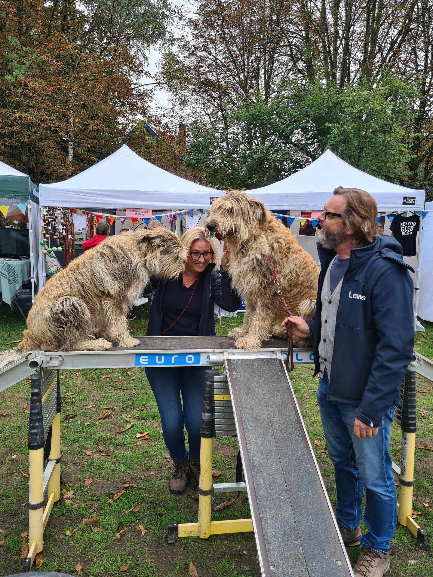 Twee langharige honden op een toestel tijdens een evenement