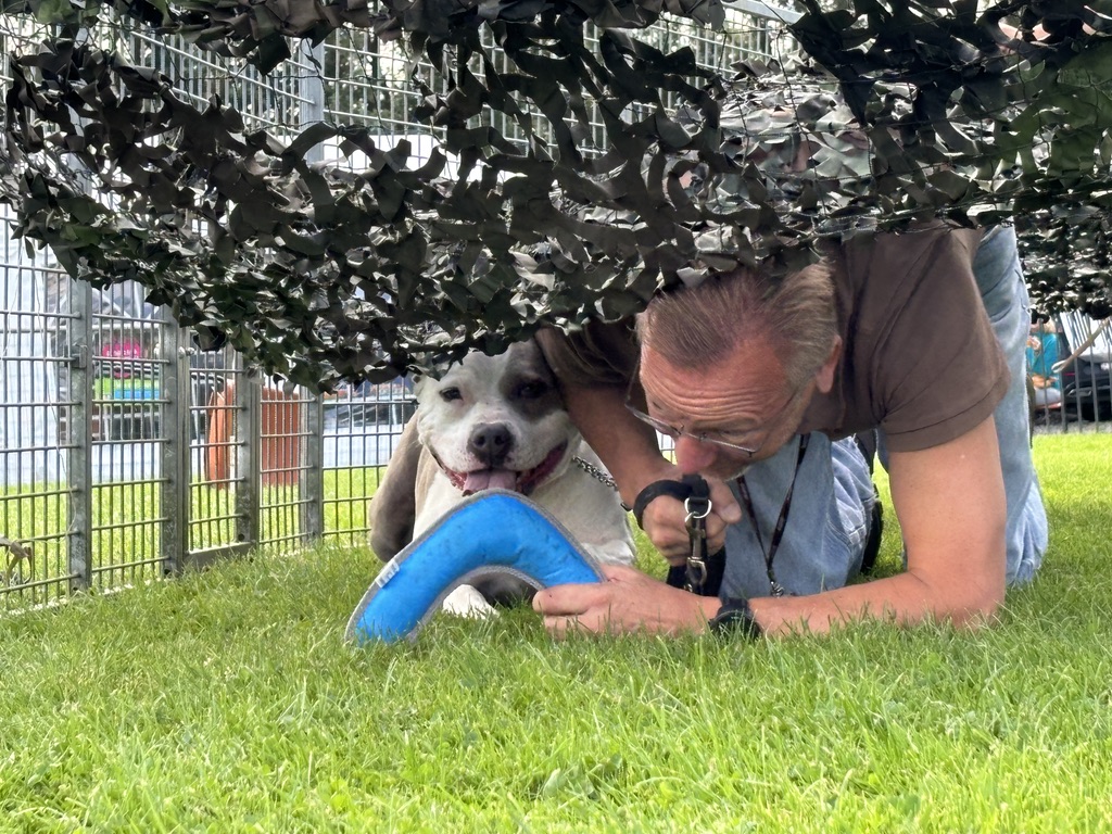 Baasje kruipt samen met zijn hond onder het camouflagenet