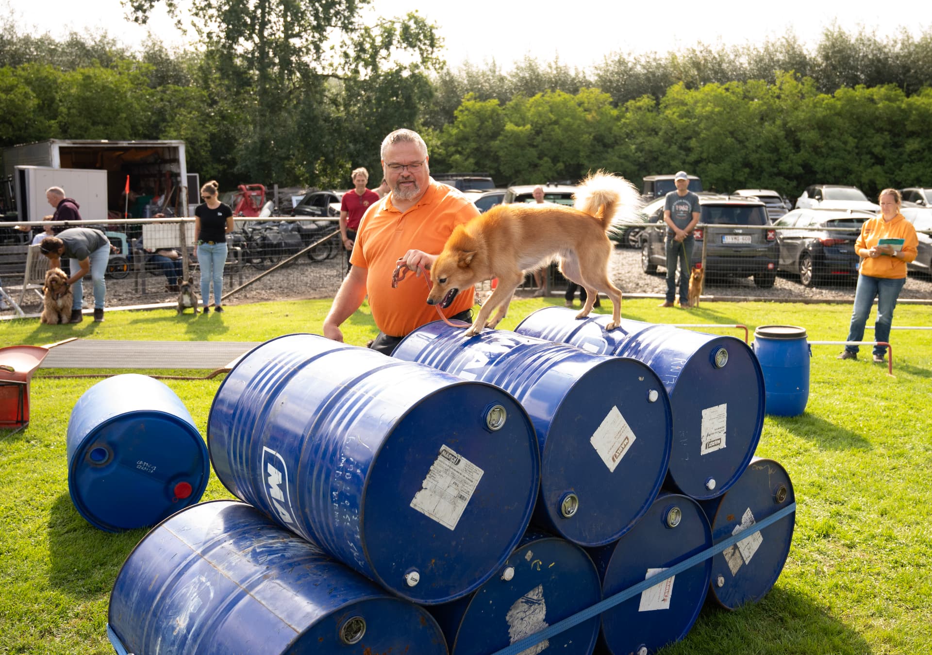 Hond loopt over de tonnen naast Stefaan