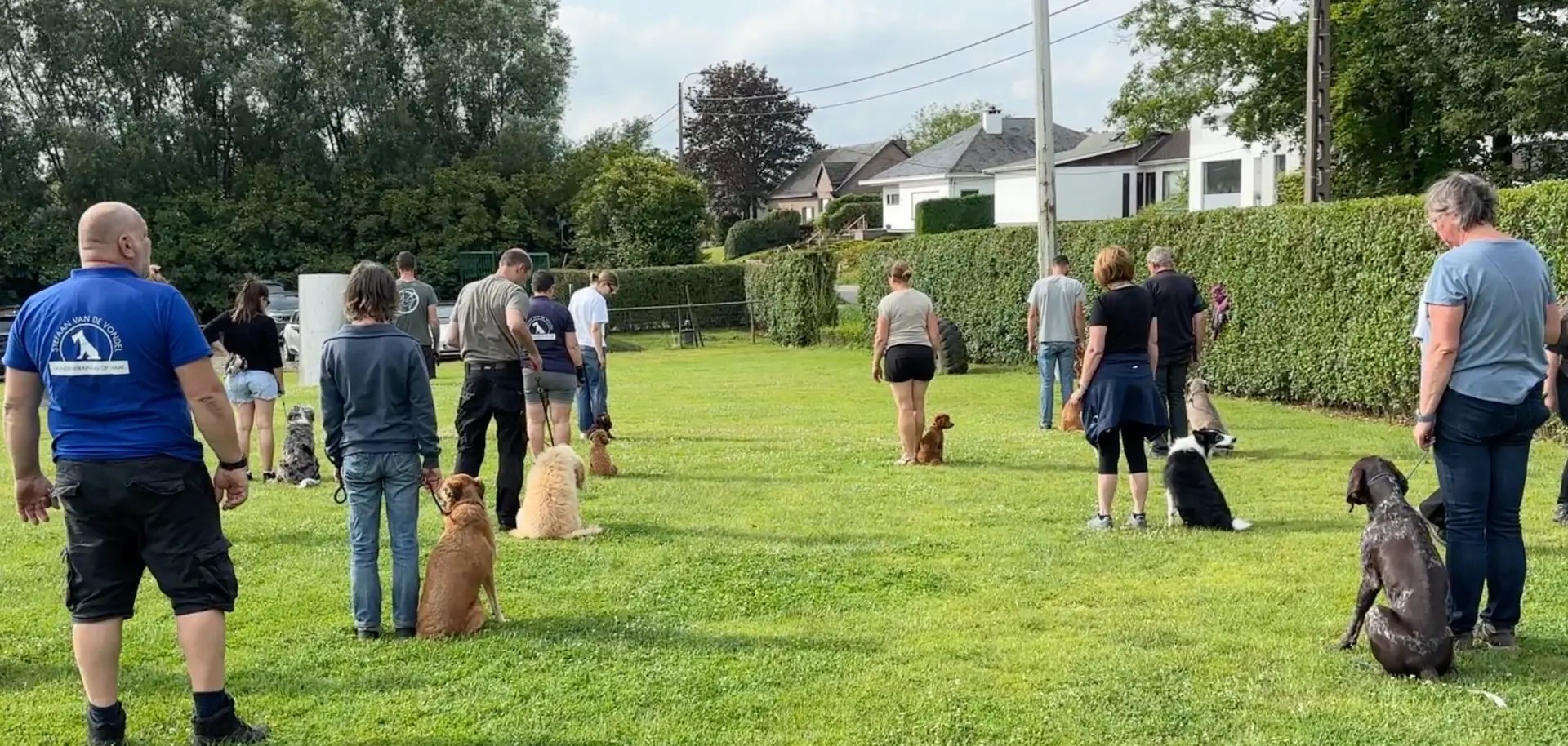 Groepsles gehoorzaamheid op het trainingsveld