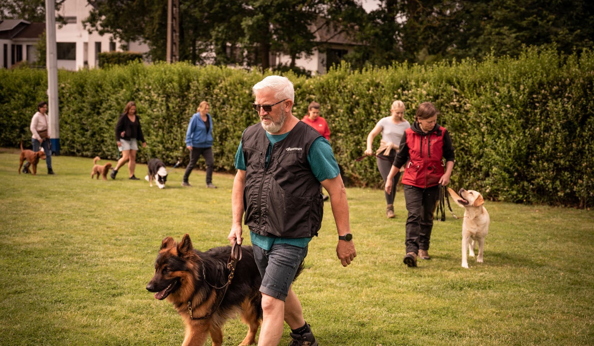 Groepje baasjes met hun honden tijdens een training op het veld