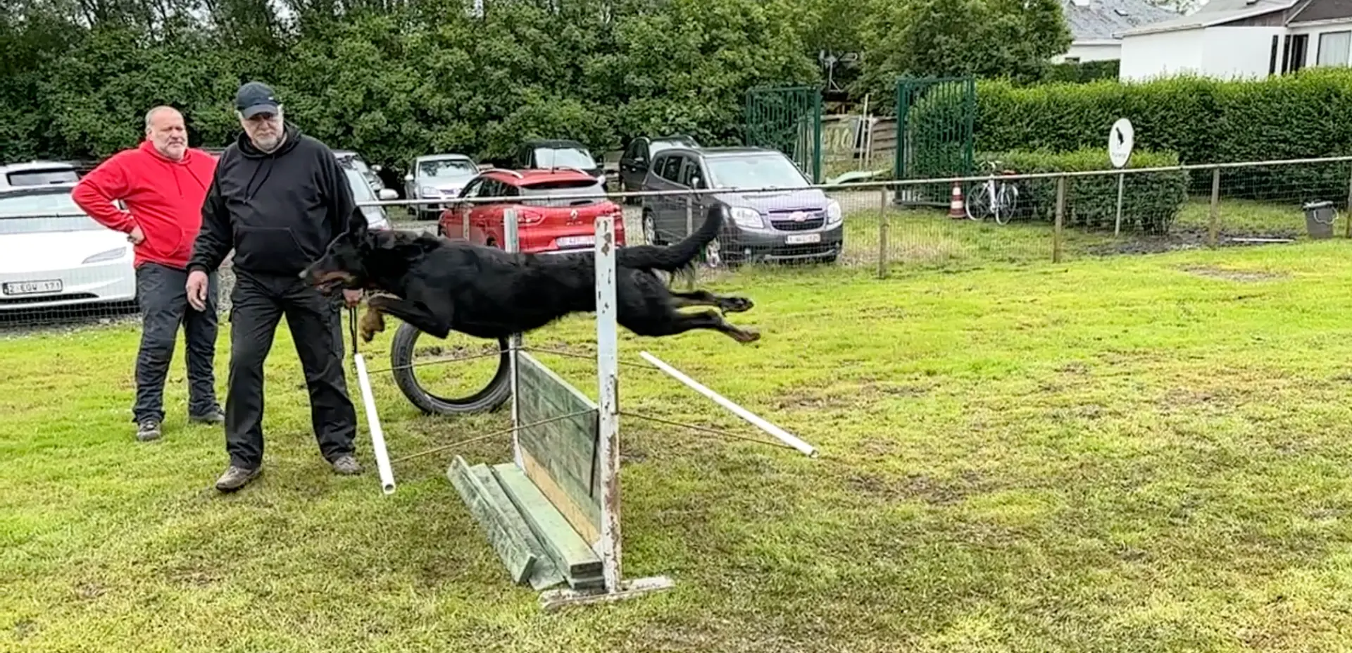 Herdershond springt over de horde naast zijn baasje
