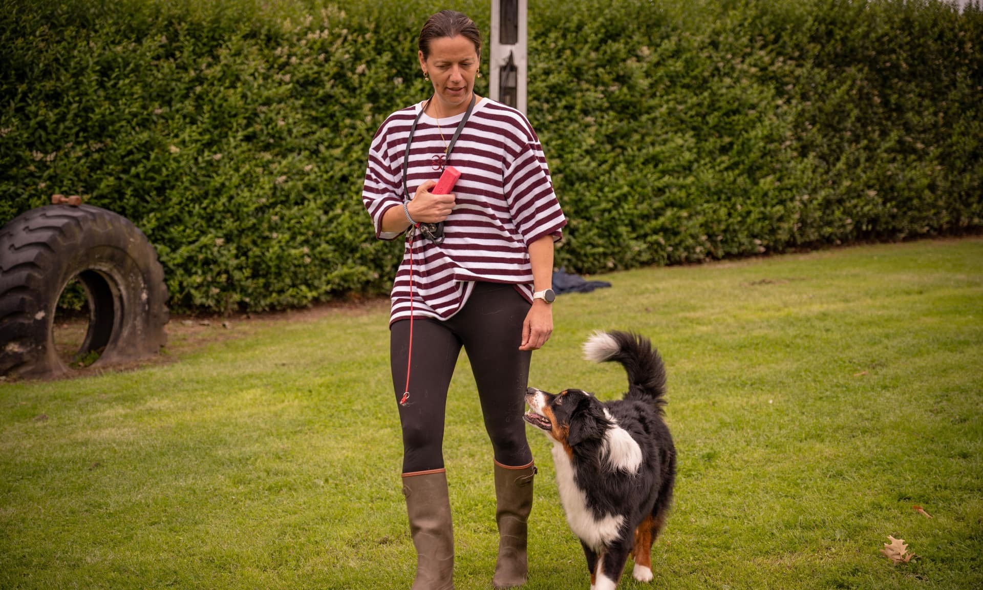 Baasje oefent met haar Australian shepherd op het trainingsveld