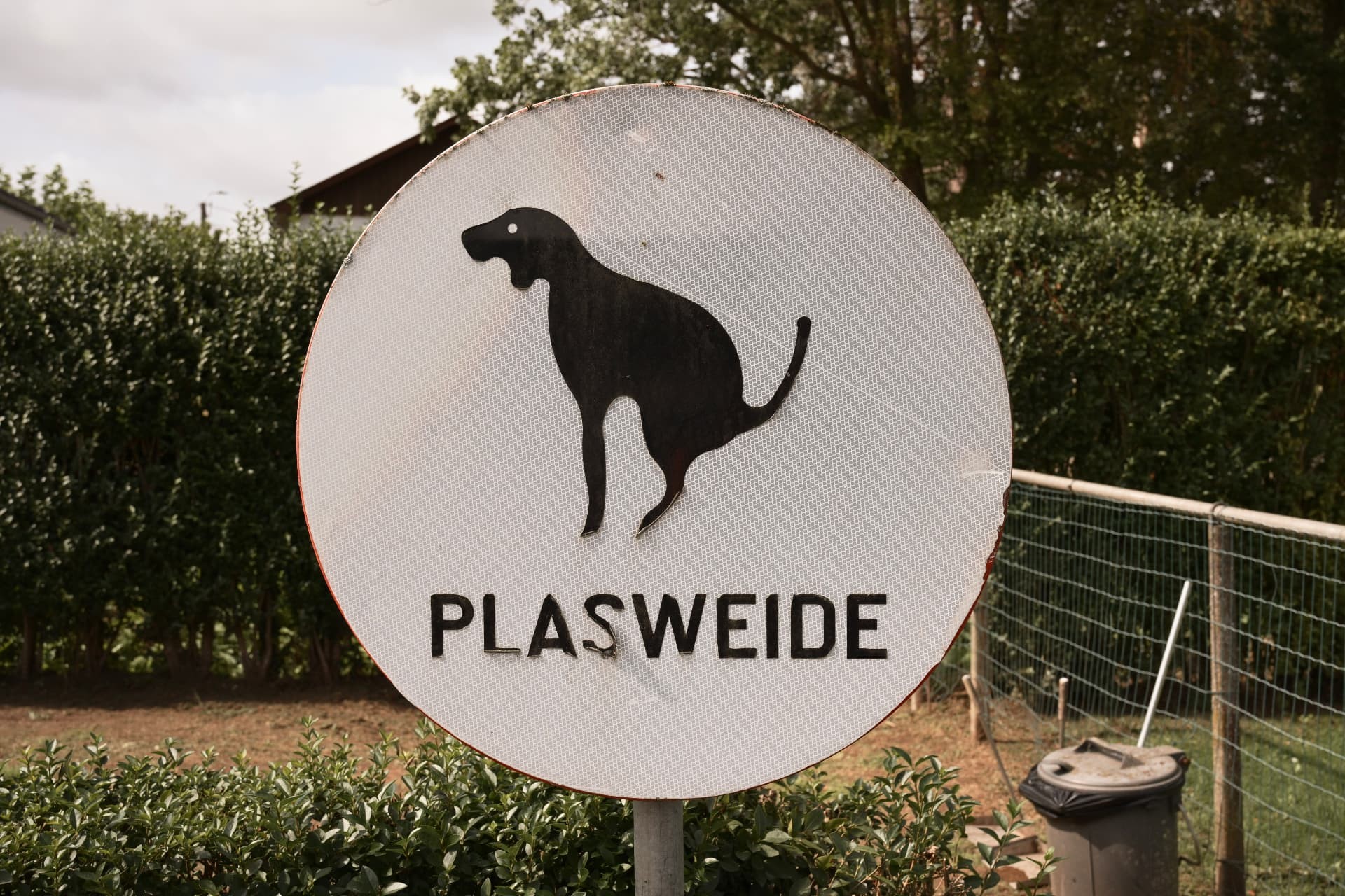 Bord van de plasweide op het terrein van de hondenschool